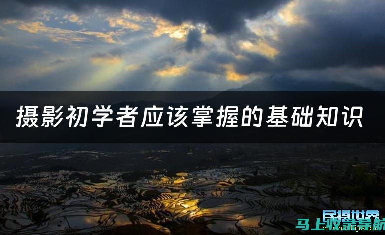 新手必学：视频SEO优化的基础知识和技巧全解析